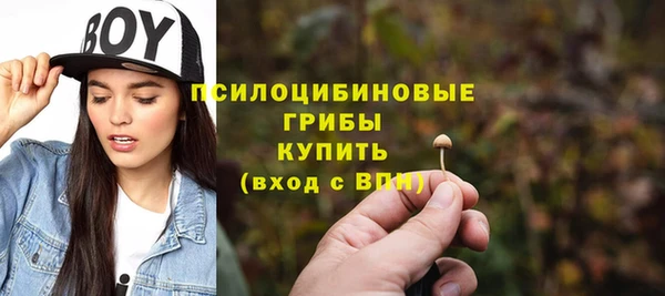 гидропоника Бугульма