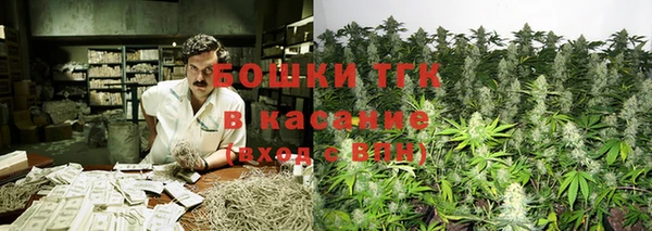 индика Бронницы