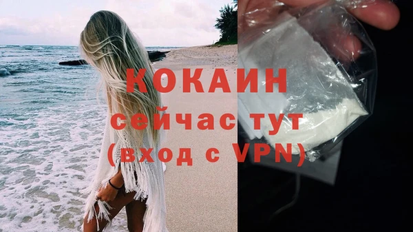 индика Бронницы