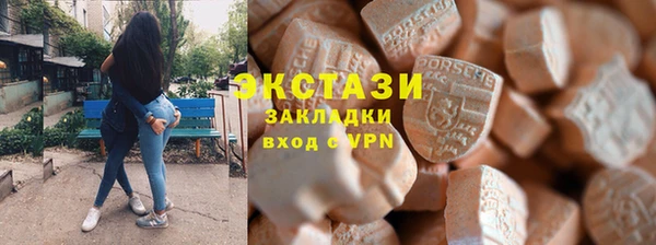 индика Бронницы