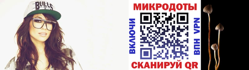 Купить где  Малоархангельск  Псилоцибиновые грибы мицелий 